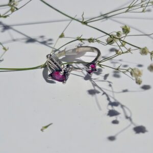 Anillo de Colibrí